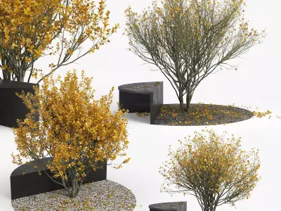 Autumn cactus on bench 3D model