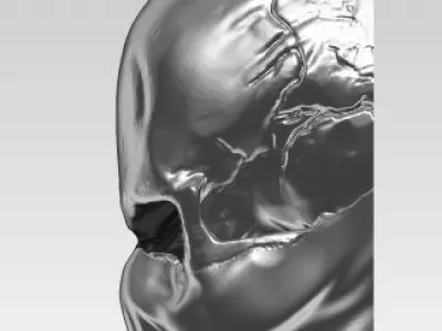 Danger Skull Mask pendant Jewelry printable model 3D print model