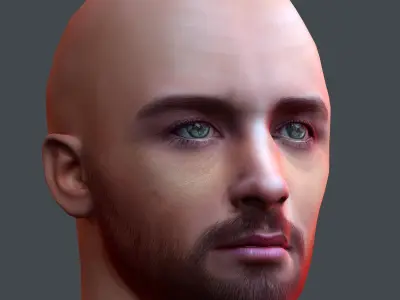 Male head Realistic Perfect Head Low-poly 3D model game ready Low-poly 3D model