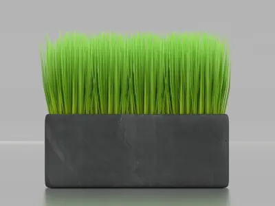 Box Planter 3D model