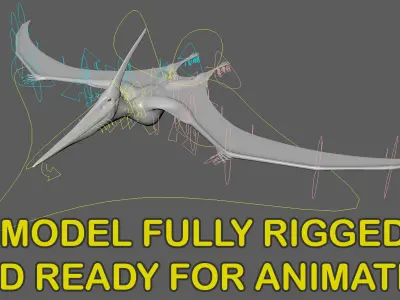  Pteranodon Longiceps Animated 