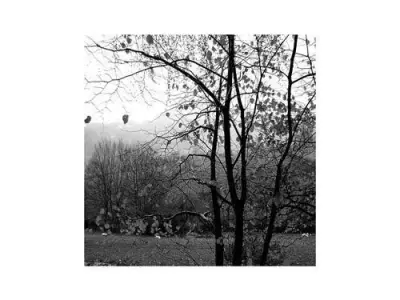 full modern office room scene Low-poly 3D model