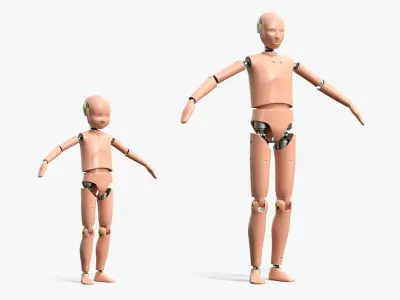  Child Crash Test Rigged Dummies Collection 