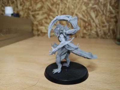 The Elder One 3D print model