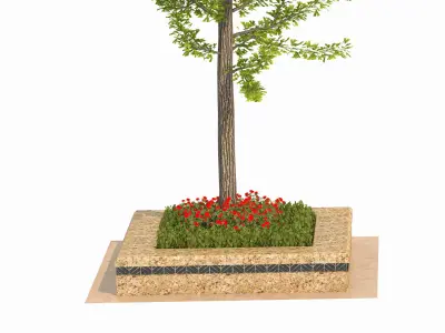 Ginkgo biloba L 3D model