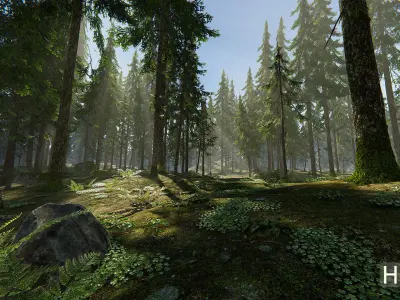 Hazy Hills - Conifer Forest Low-poly 3D model