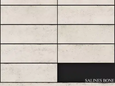 Peronda Salines Bone 3D model