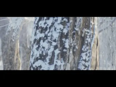 WinterForest Low-poly 3D model