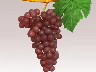 Grapes Red Low-poly 3D model