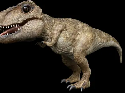  Trex baby 3D Rigged 