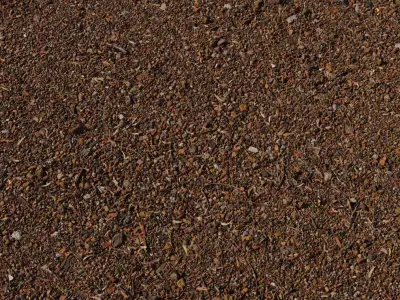 Decomposed Granite Path PBR Texture Texture