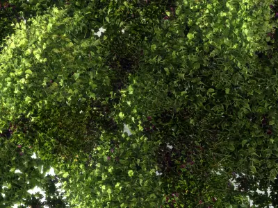 outdoor Modern greenery 3D model