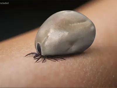  Parasites Rigged Collection 2 for Cinema 4D 