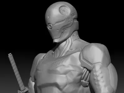 Gray Fox 3D model