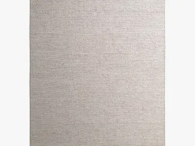 Restoration Hardware Rugs 65 3D model
