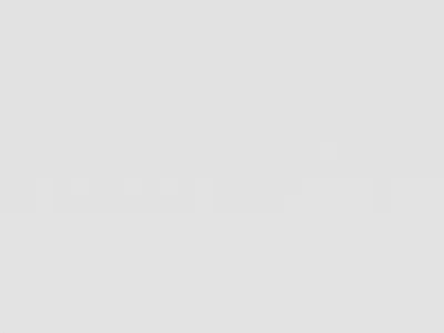 DRON S350 with adult camera Low-poly 3D model