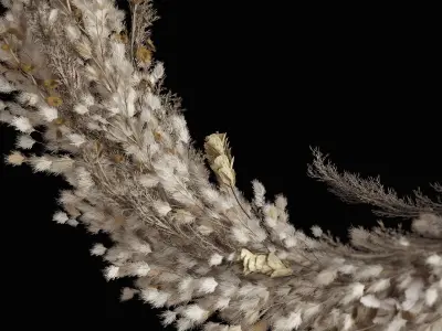 Wall hanging Pampas Ring 3D model