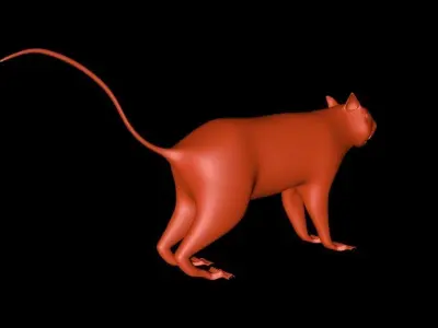 Squirrel 3D Model cat 3D model