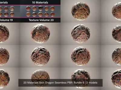 20 Materials Skin Dragon Seamless PBR Bundle 7 Texture