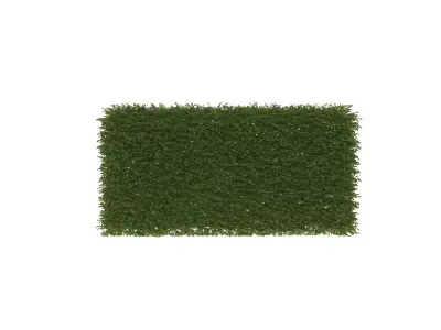 A standing clump of grass 3D model