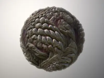 Material Skin Monster 34 Seamless PBR Texture Texture