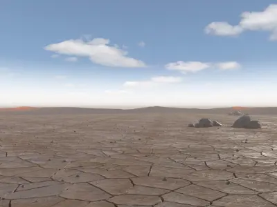 Dried Desert Bed 9 3D model