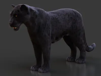  Black Jaguar Animated Xgen-Core 