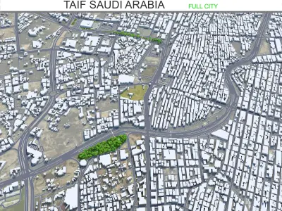 Taif Saudi Arabia 50km Low-poly 3D model