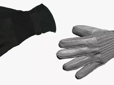 Old Winter Glove 02 RAW SCAN 3D model