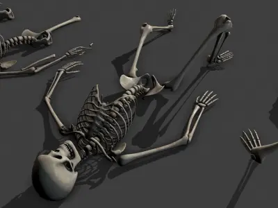 Dungeon Skeletons and Bones  Low-poly 3D model