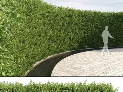  Scatterable Hedges Collection 