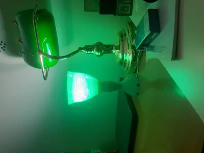 Flower Lamp by 3esign Free 3D print model