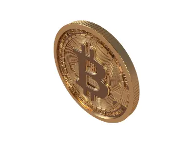 Bitcoin v7 001 3D model