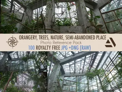 Photo Reference Pack Orangery Trees Nature Semi-Abandoned Texture
