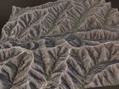 Landscape D - Scan 3D model