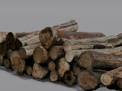 Wood 3D Model Low-poly 3D model