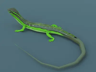Lizard - Low Poly - Game Ready - PBR - Rigged - PBR