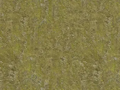 Mossy Concrete Surface Texture