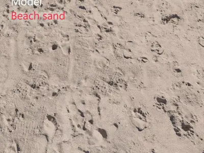 Beach sand Scan 3D model