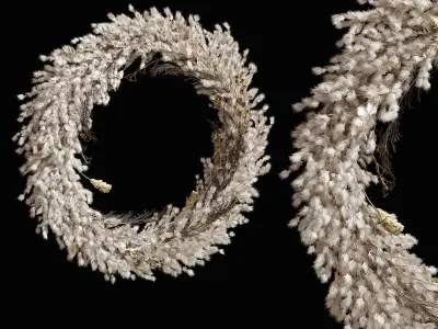 Wall hanging Pampas Ring 3D model
