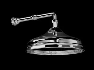 Shower Door 3D model