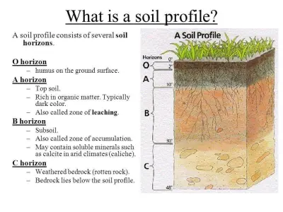 Soil Dirt Layers Drink Coasters Diagram Science Free 3D print model
