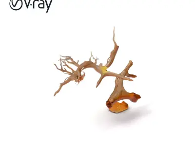 Beach Driftwood and Sand with Shells Model Pack Low-poly 3D model