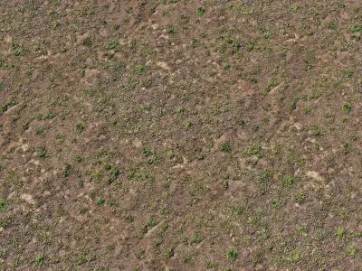 Spring soil 3D model