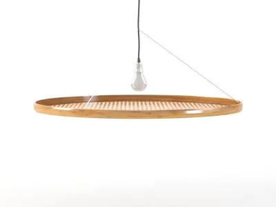 Chao Zhang Shadow Light 3D model