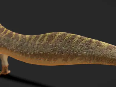 Irritator challengeri Low-poly 3D model