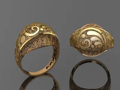 10 ring Turkish style fusion ring light weight  3D print model