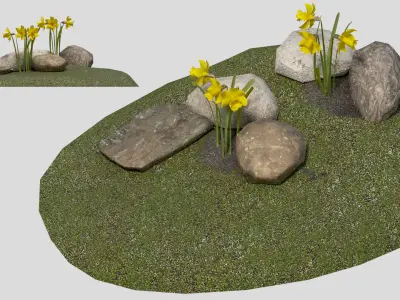 Yellow daffodils and stones Low-poly 3D model