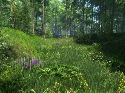 Nature Package - Forest Environment Unity Low-poly 3D model