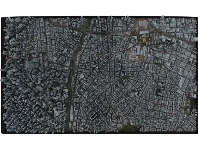 City of Sao Paulo Low-poly 3D model